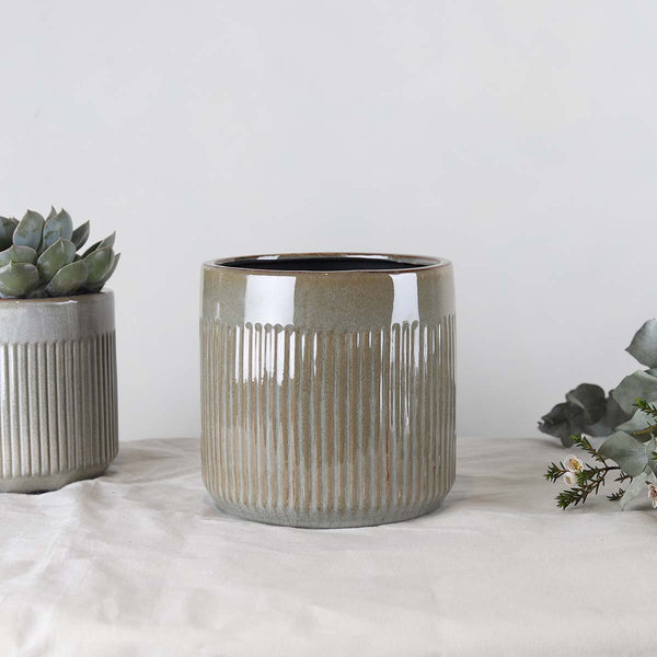 This ribbed pot will look great on your windowsill either on its own or in a group.