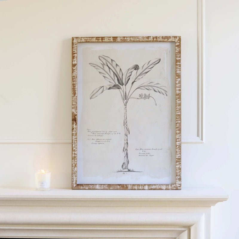 Beautiful tropical tree picture, with a rustic wooden frame, it will look stunning in any home either hung singly or with its matching piece.