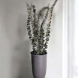 eucalyptus bouquet bunch 8 pcs