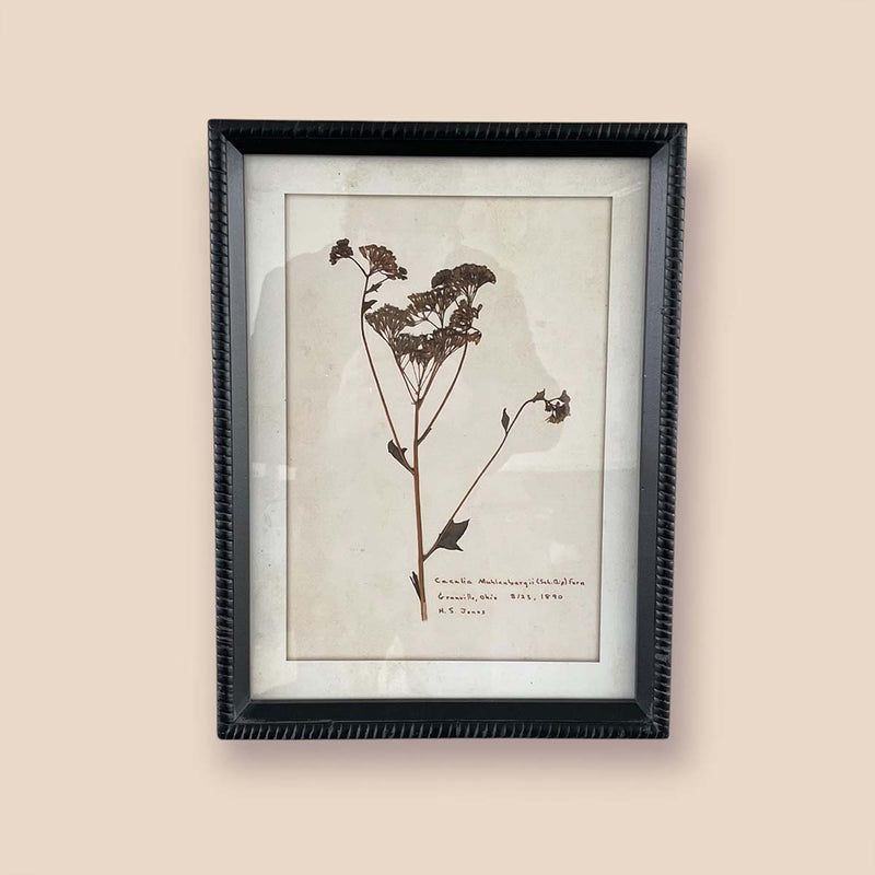 AGED FLORAL WALL ART E