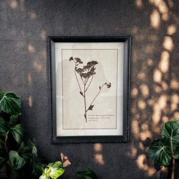 AGED FLORAL WALL ART E