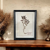 AGED FLORAL WALL ART I