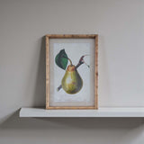 Pear wall art - E