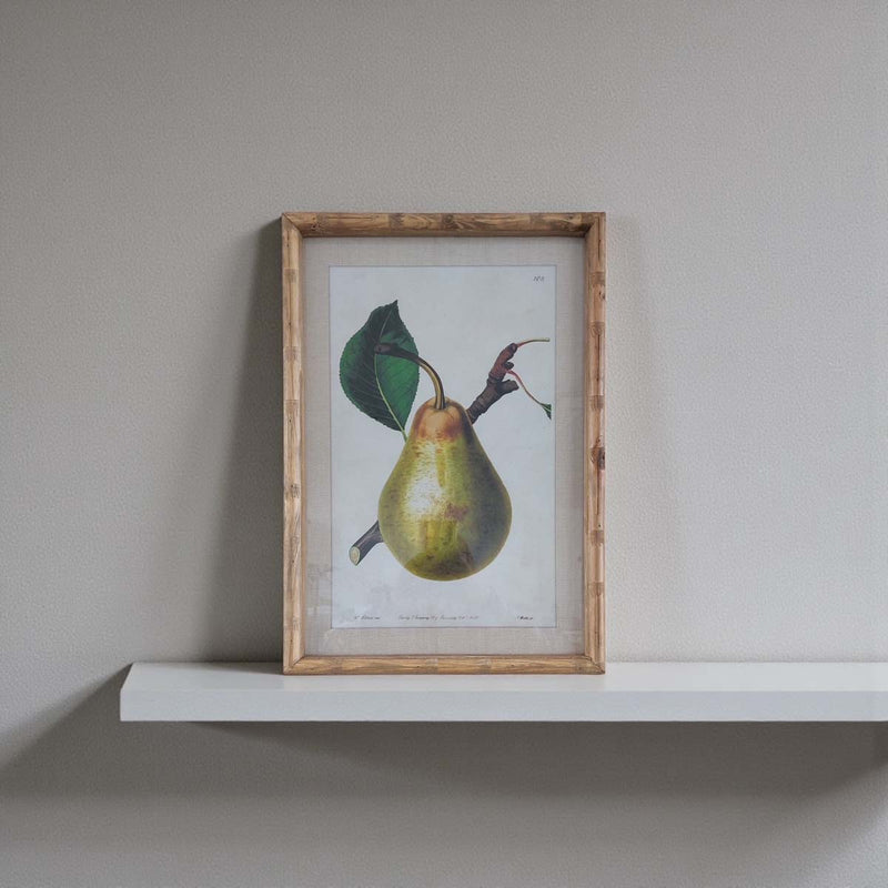 Pear wall art - E