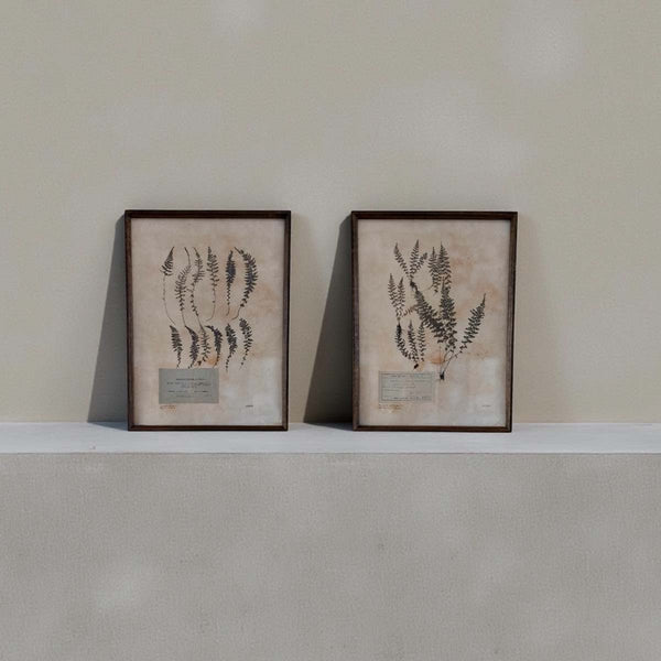 Aged foliage wall art -A