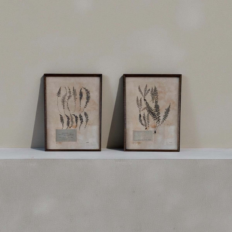 Aged foliage wall art -A