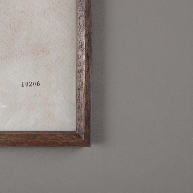 Aged foliage wall art -A