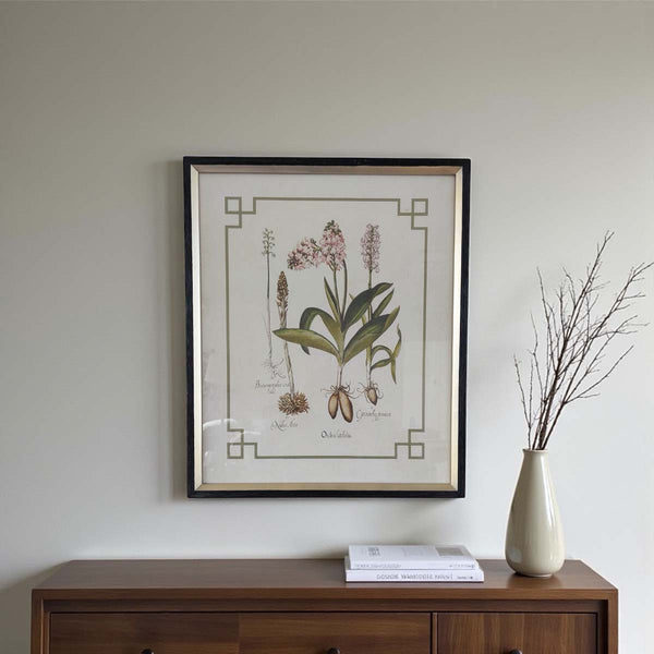 Botanical beauty wall art - D