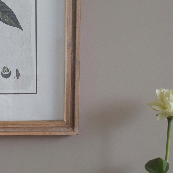 Fun botanical wall art - B