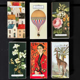 bristol baloon ex long safety matches