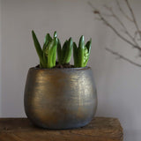 12 CM ANTIQUE BRONZE PLANTER