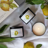 LEMONCELLO SCENTED CANDLE TIN- BOX OF 3