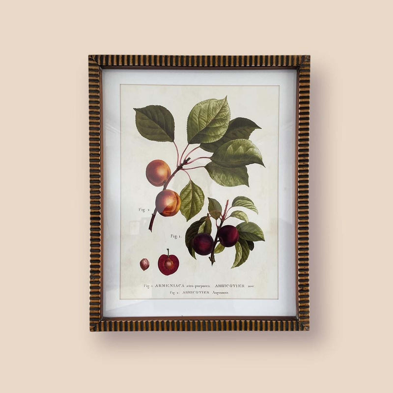 FRUITY WALL ART B