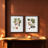 FRUITY WALL ART B