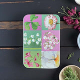 6 x flowers soap tin