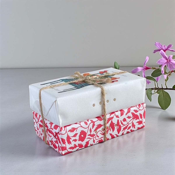 orange zest scented soap duo