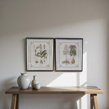 Botanical beauty wall art - D