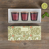 lime basil boxed set of 3 red  votives