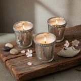 lime basil boxed set of 3 silver votives