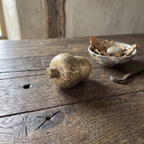 golden acorn