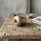 golden acorn