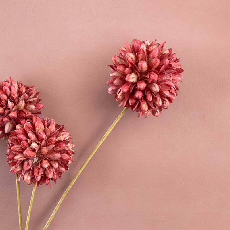 Pink/red bunch of ball flowers