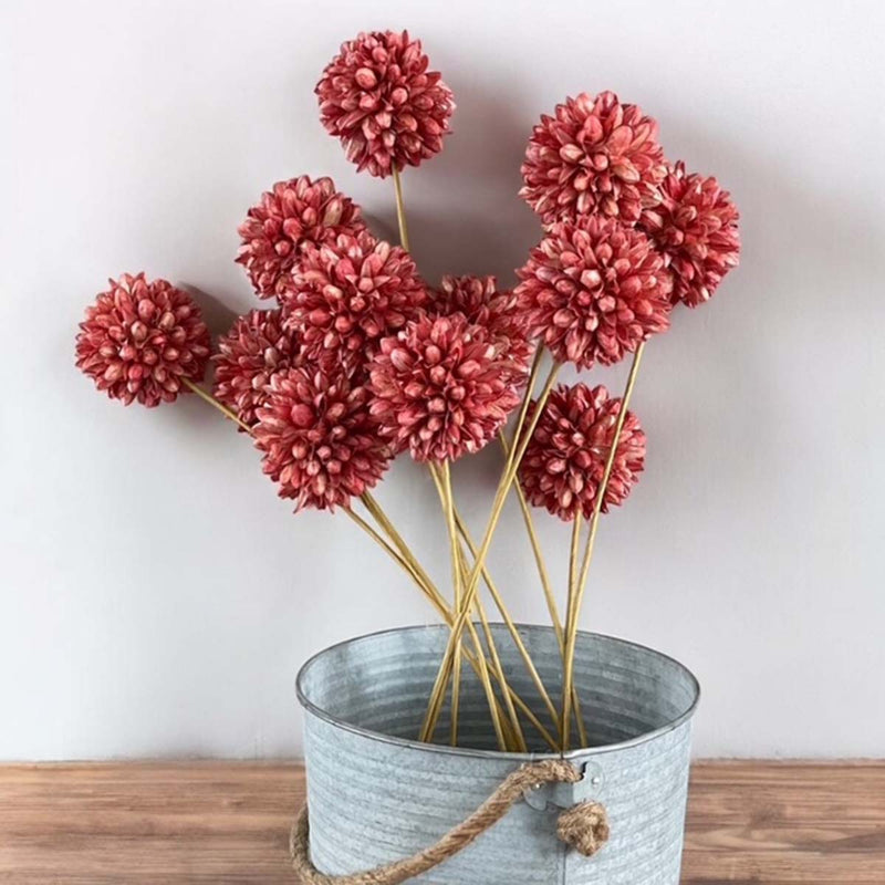 Pink/red bunch of ball flowers