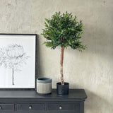 90CM OLIVE TREE