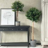 90CM OLIVE TREE