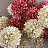 Pink/red bunch of ball flowers