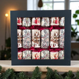 traditional house & multi bird cracker box 0f 6